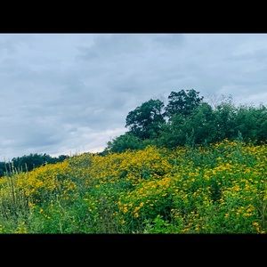 Meet your Posher, Md